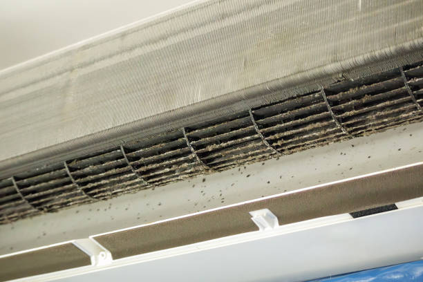 Best Affordable Air Duct Cleaning  in Cape Carteret, NC